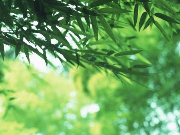 アイ硝子工事湘南ライフタウン支店