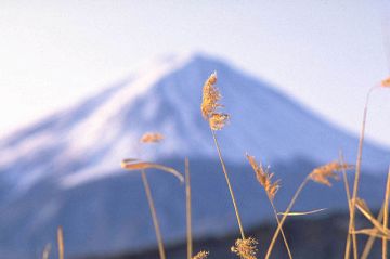 ガラスの防犯堂２４