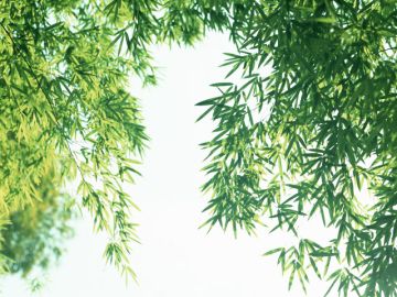 有限会社ジャルテック